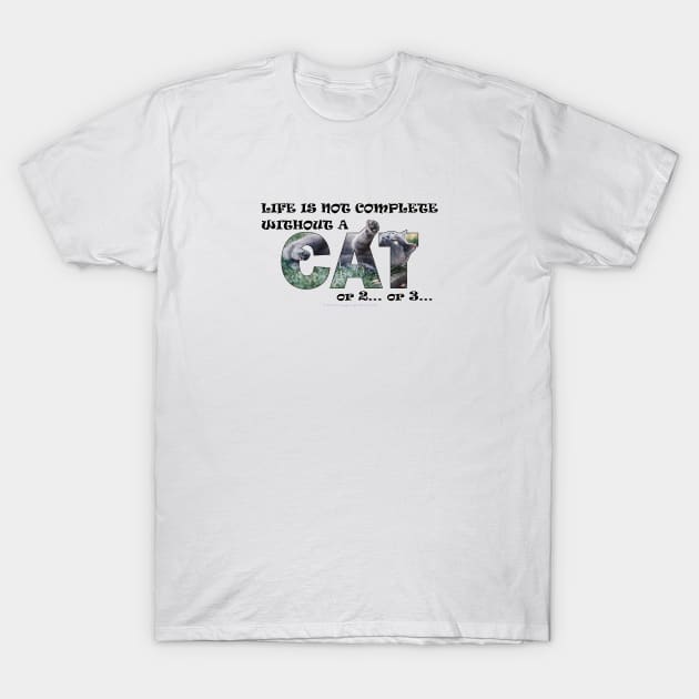 Life is not complete without a cat or 2 or 3 - grey cat oil painting word art T-Shirt by DawnDesignsWordArt